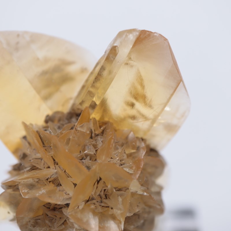 ���ʥ��������ץ���