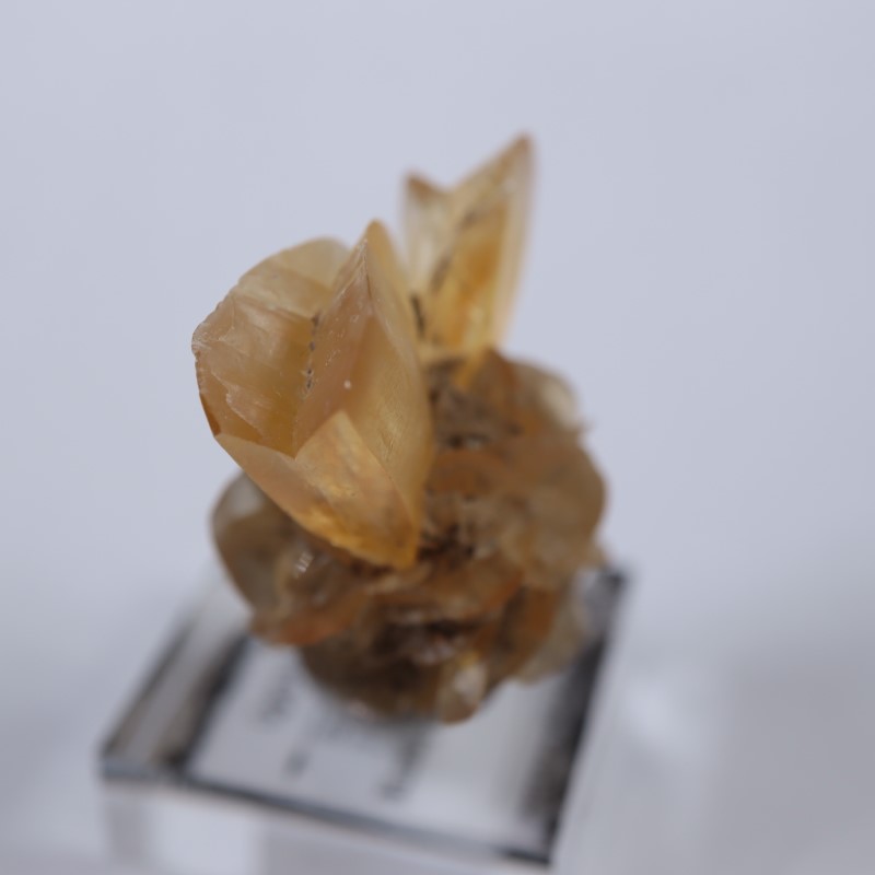 ���ʥ��������ץ���