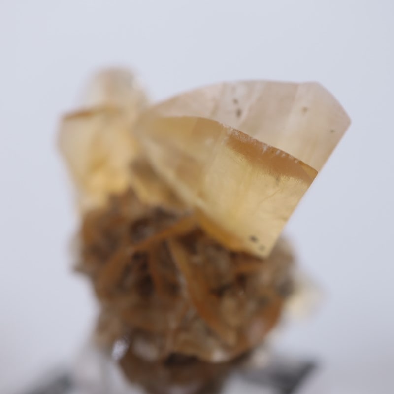 ���ʥ��������ץ���