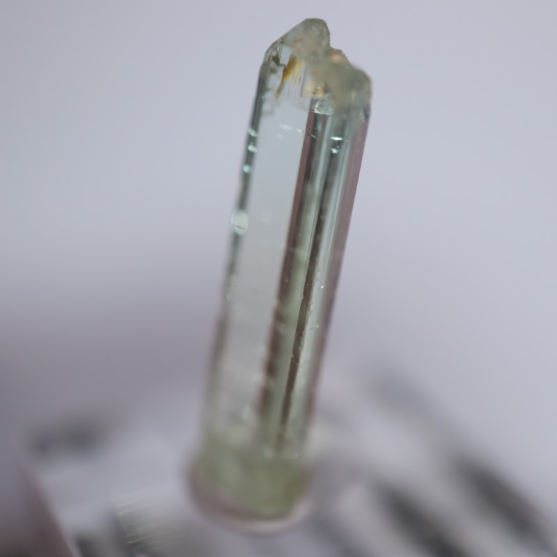 ���󥴻����ȥ�ޥ��