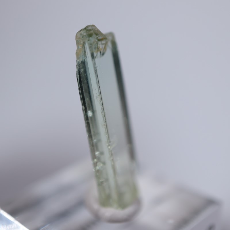 ���󥴻����ȥ�ޥ��