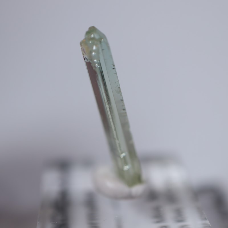 ���󥴻����ȥ�ޥ��