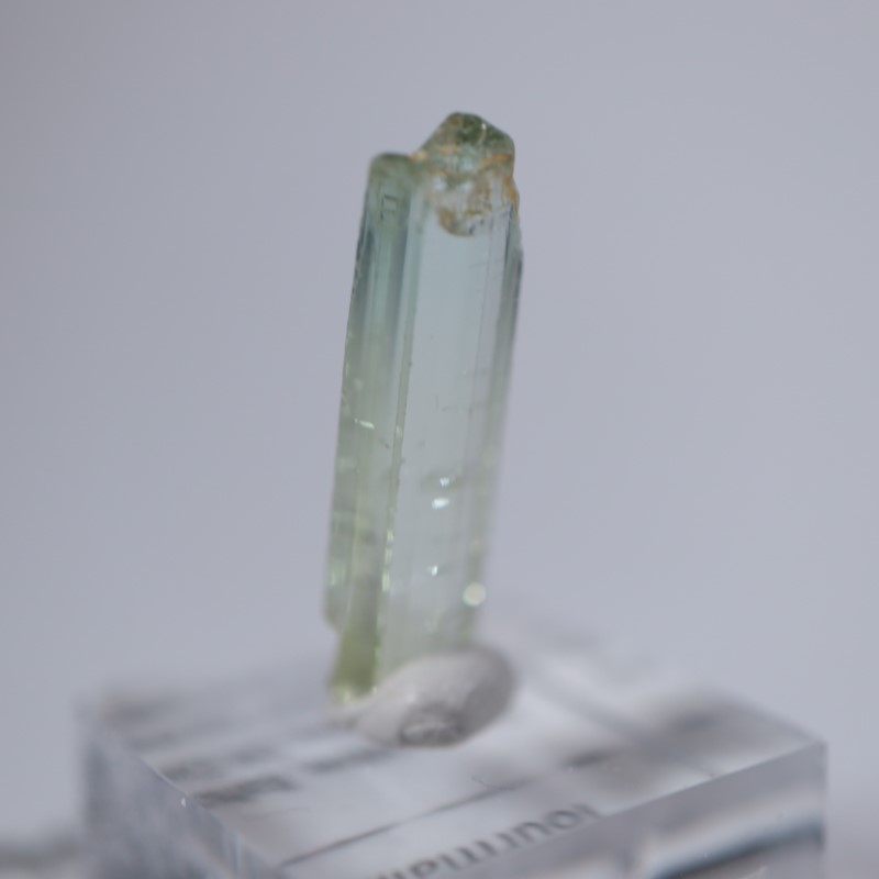 ���󥴻����ȥ�ޥ��