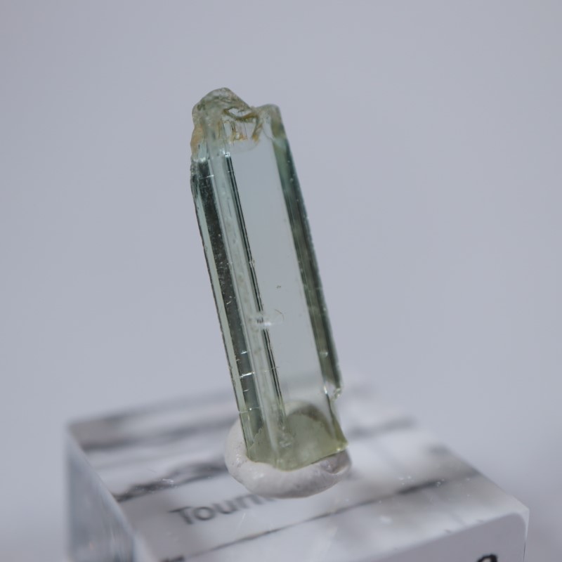 ���󥴻����ȥ�ޥ��