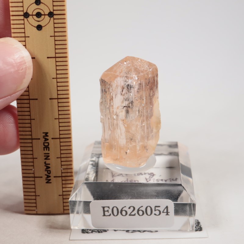 Katlang�����ȥѡ���