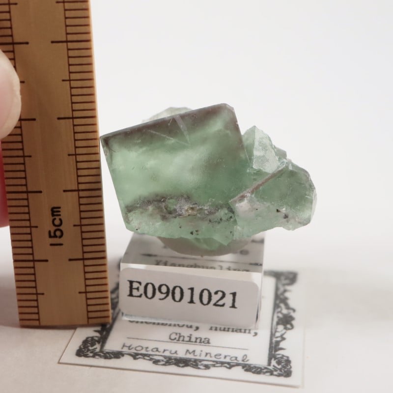 中国 内モンゴル フローライト 1172 天然石 原石 鉱物標本 鉱石 蛍石