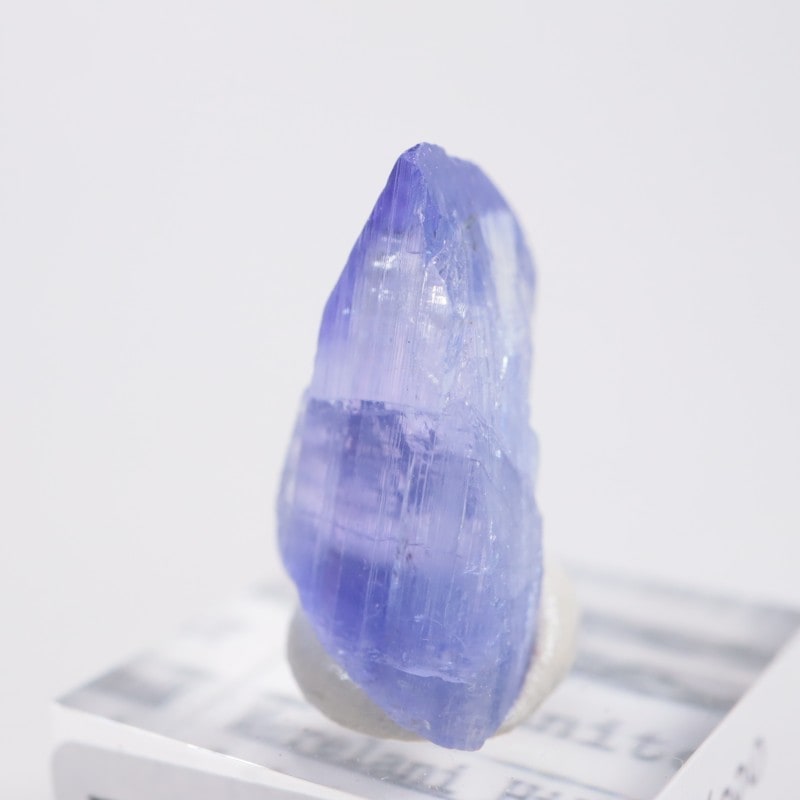 ����˥ҥ륺�� ���󥶥ʥ���