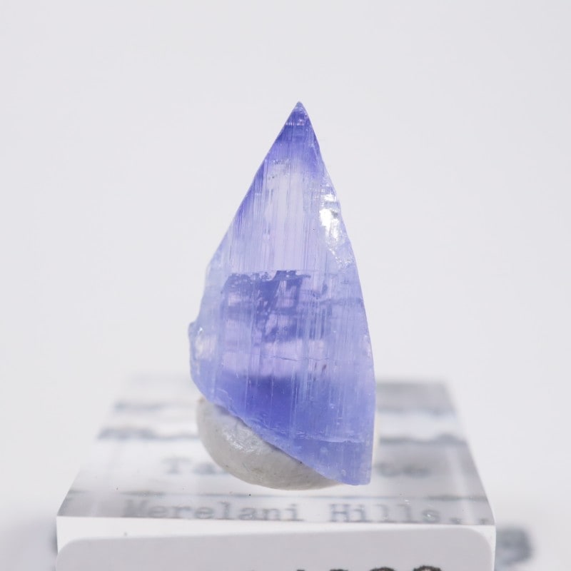 ����˥ҥ륺�� ���󥶥ʥ���