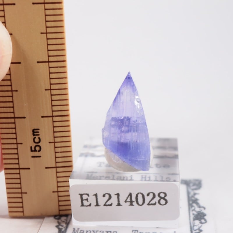 ����˥ҥ륺�� ���󥶥ʥ���