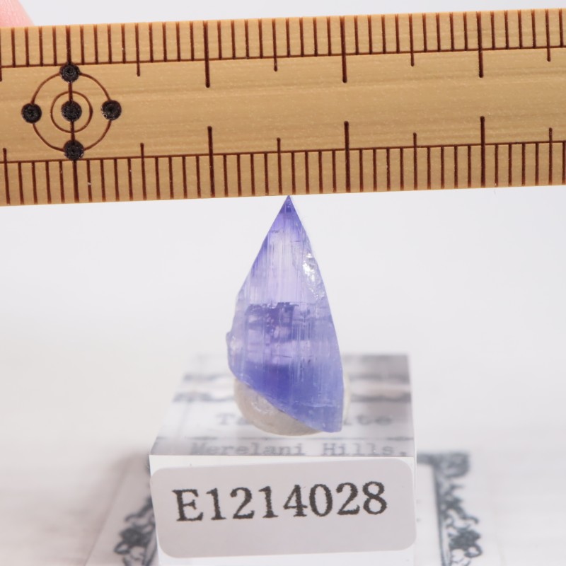 ����˥ҥ륺�� ���󥶥ʥ���