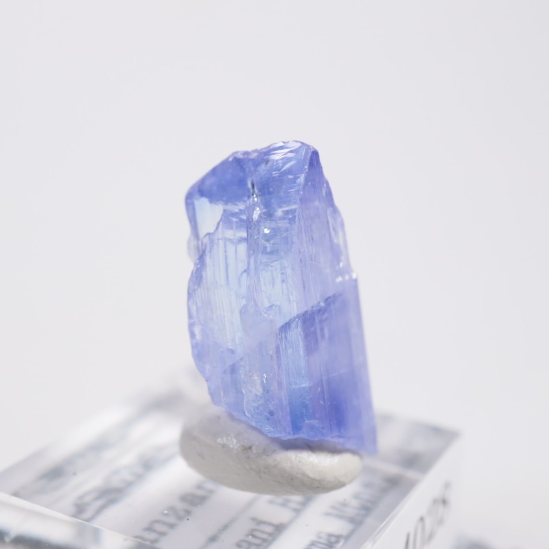 ����˥ҥ륺�� ���󥶥ʥ���