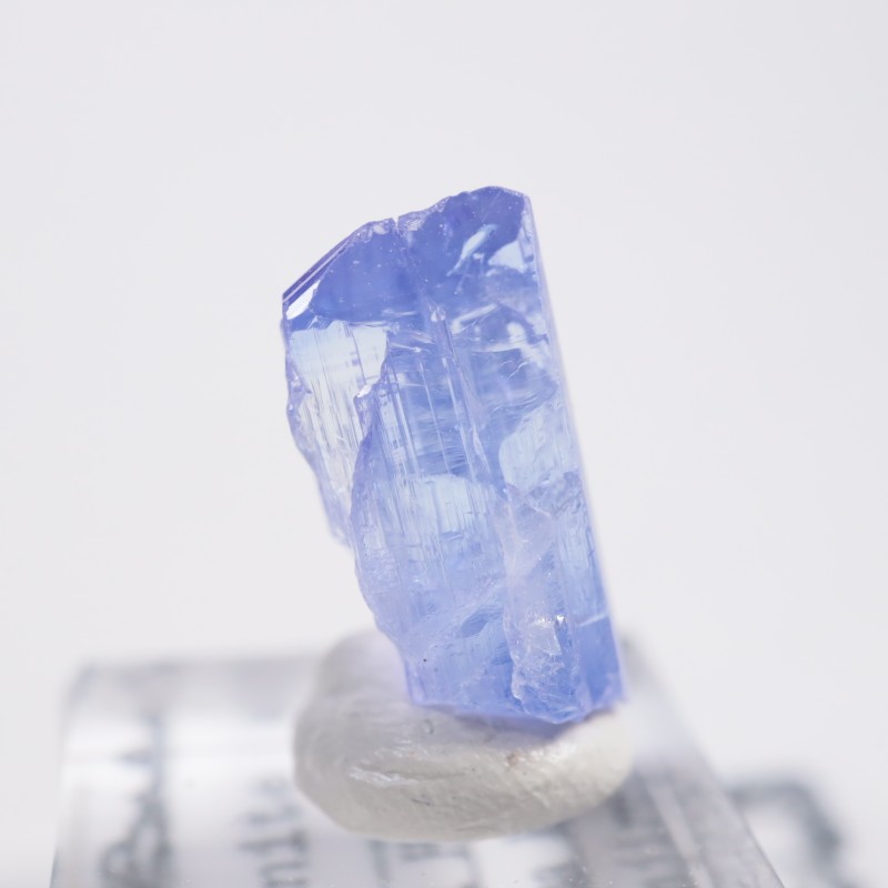 ����˥ҥ륺�� ���󥶥ʥ���