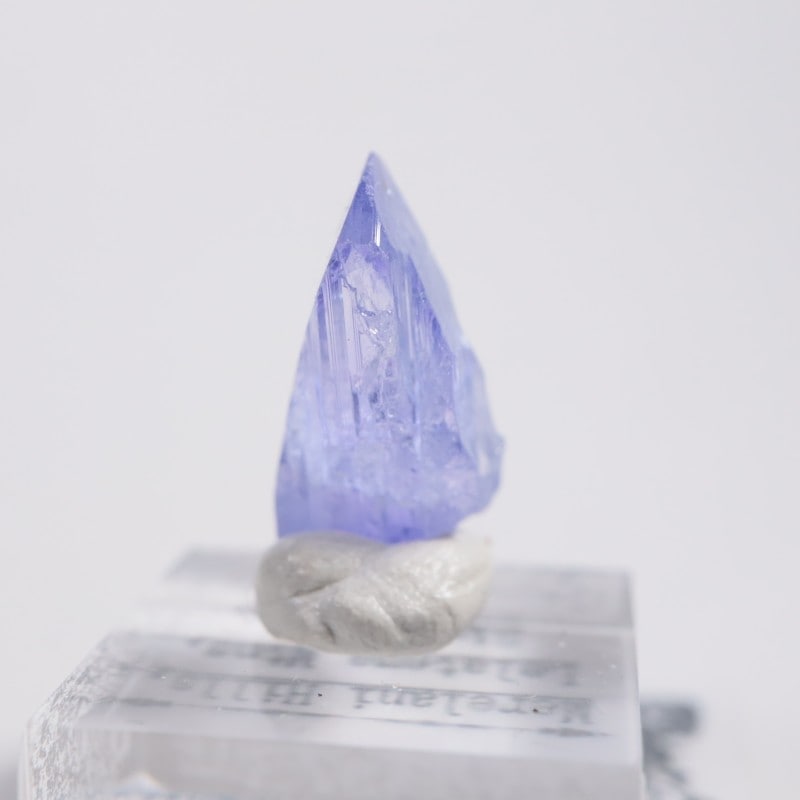 ����˥ҥ륺�� ���󥶥ʥ���