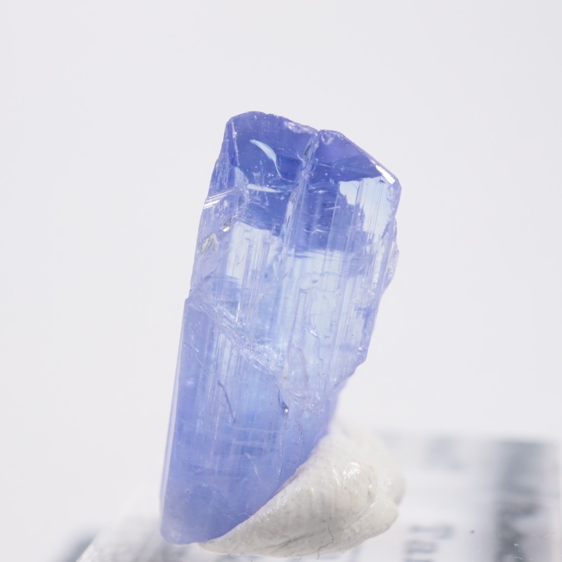 ����˥ҥ륺�� ���󥶥ʥ���