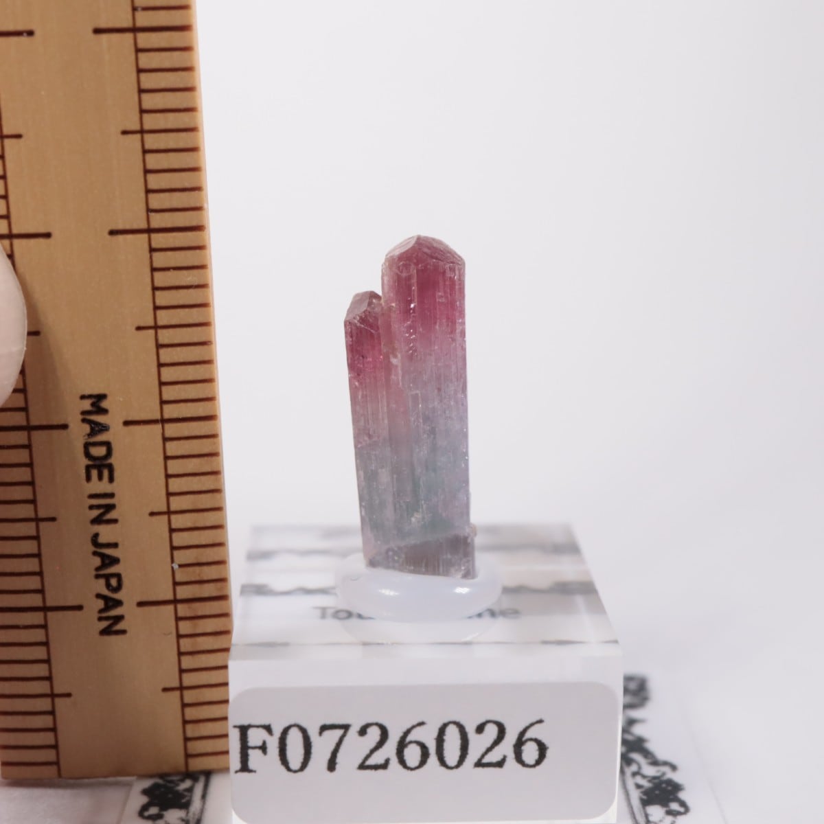 �ߥʥ������饤������ �ȥ�ޥ��