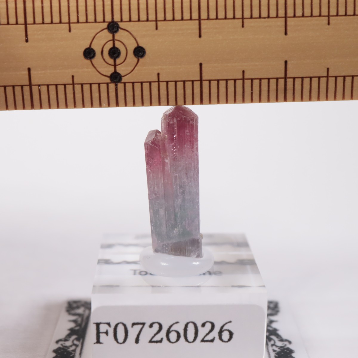 �ߥʥ������饤������ �ȥ�ޥ��