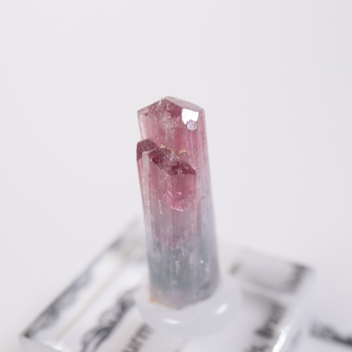 �ߥʥ������饤������ �ȥ�ޥ��