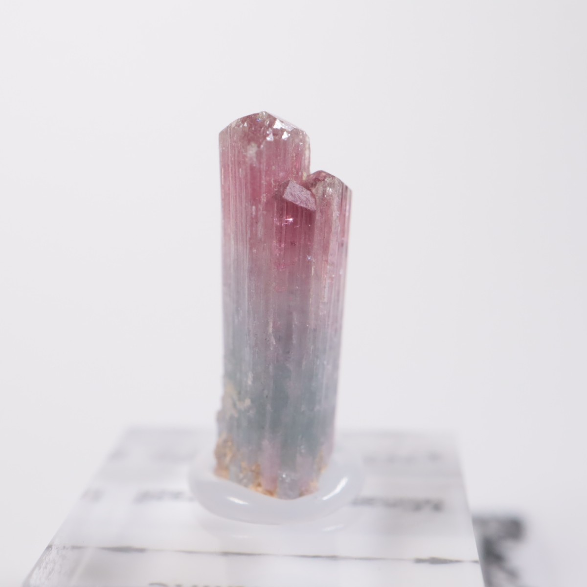 �ߥʥ������饤������ �ȥ�ޥ��