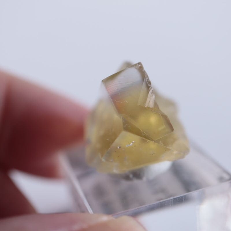 The Bull Vein産 フローライト | 鉱物標本,ハ行,フローライト/蛍