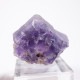 �����ȥ��ꥢ���� �ե����饤��