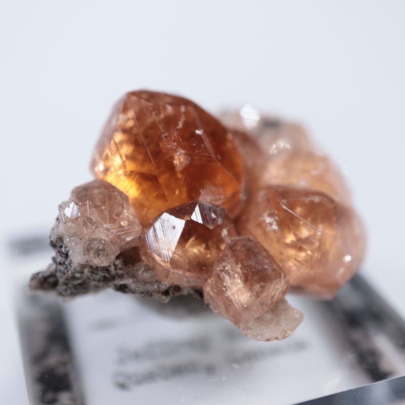 ジェフリー鉱山 ガーネット | 鉱物標本,カ行,ガーネットグループ/石榴