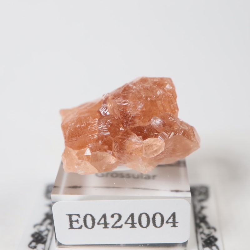 �����ե꡼�ۻ��������ͥå�