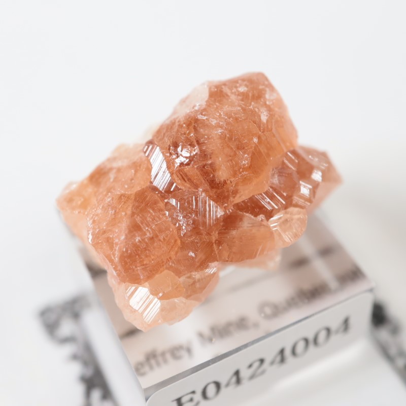 �����ե꡼�ۻ��������ͥå�