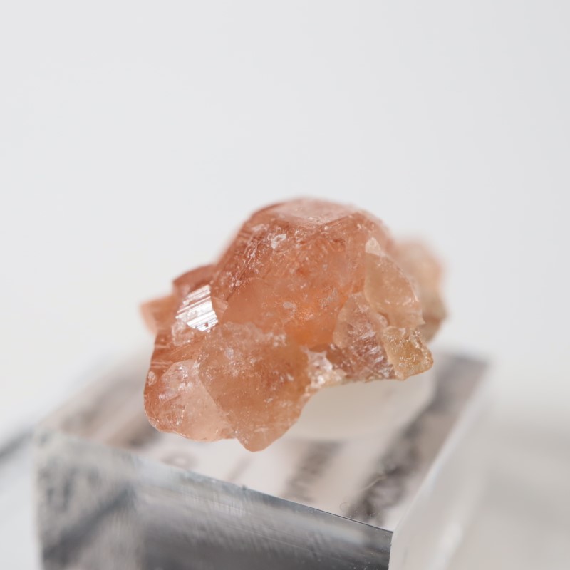 �����ե꡼�ۻ��������ͥå�