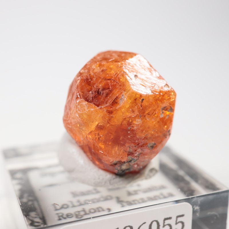 ���󥶥˥��������ڥ���ƥ��󥬡��ͥå�