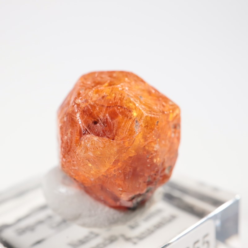 ���󥶥˥��������ڥ���ƥ��󥬡��ͥå�