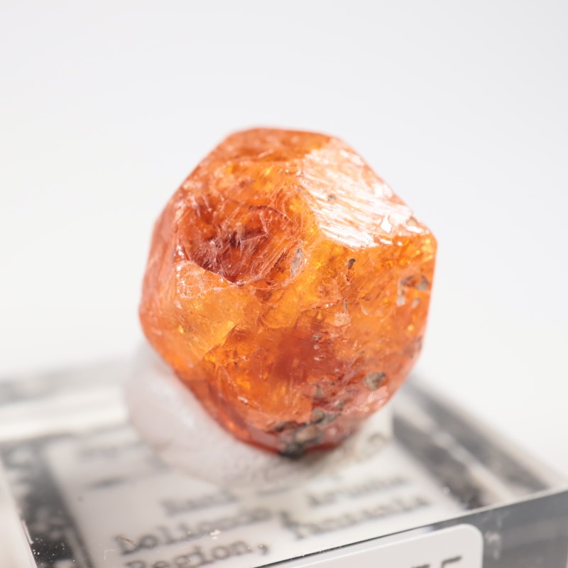 ���󥶥˥��������ڥ���ƥ��󥬡��ͥå�