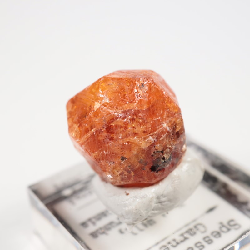 ���󥶥˥��������ڥ���ƥ��󥬡��ͥå�