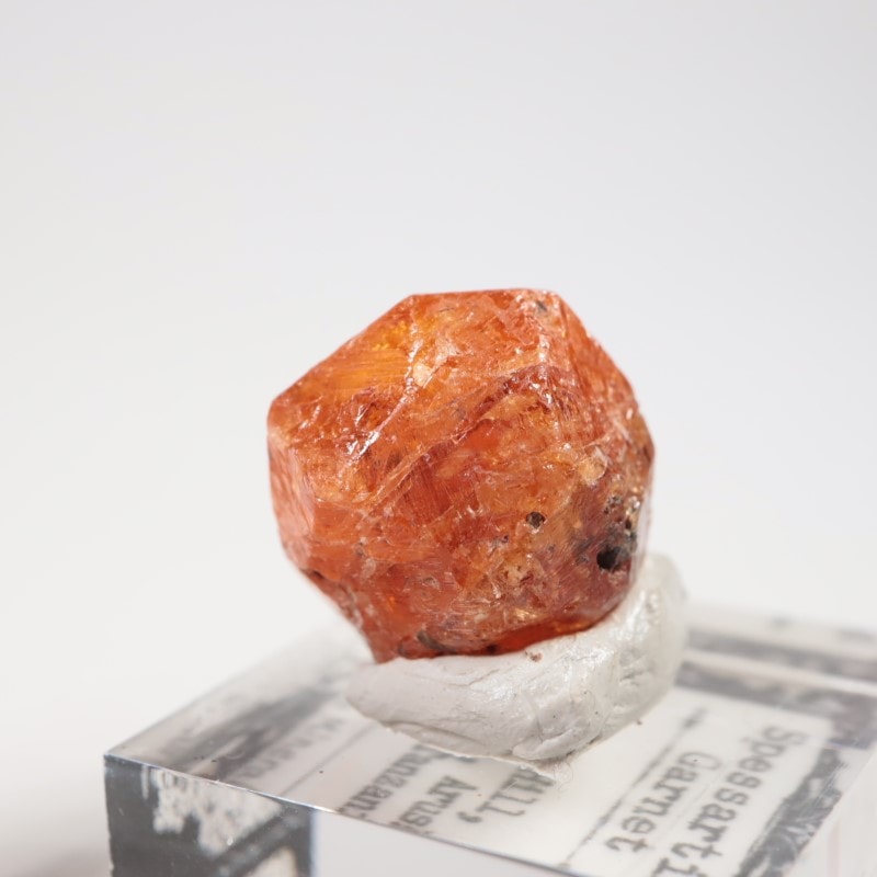 ���󥶥˥��������ڥ���ƥ��󥬡��ͥå�