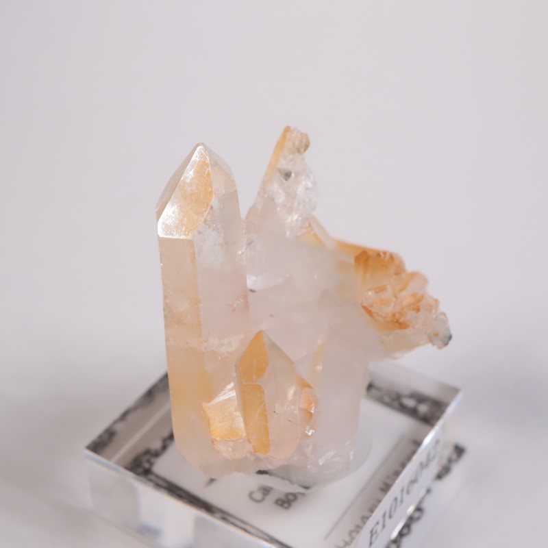 ������ӥ������ޥ󥴡���������