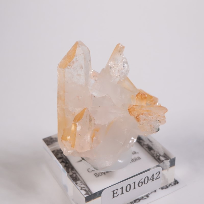 ������ӥ������ޥ󥴡���������