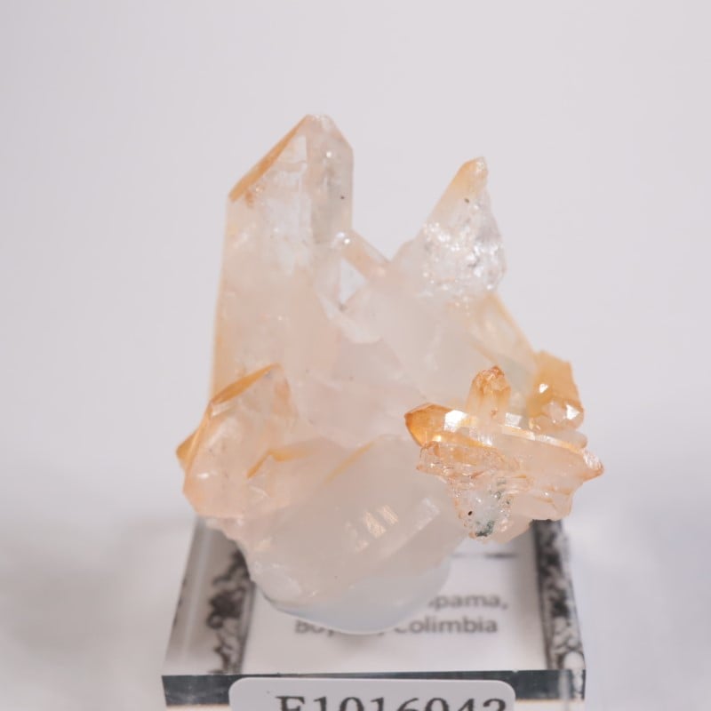 ������ӥ������ޥ󥴡���������