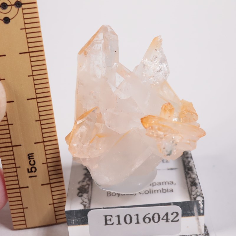 ������ӥ������ޥ󥴡���������