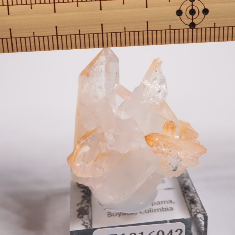 ������ӥ������ޥ󥴡���������