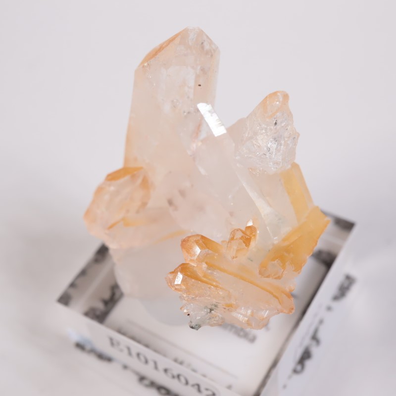 ������ӥ������ޥ󥴡���������