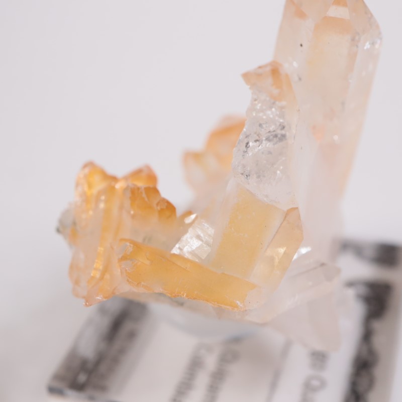 ������ӥ������ޥ󥴡���������