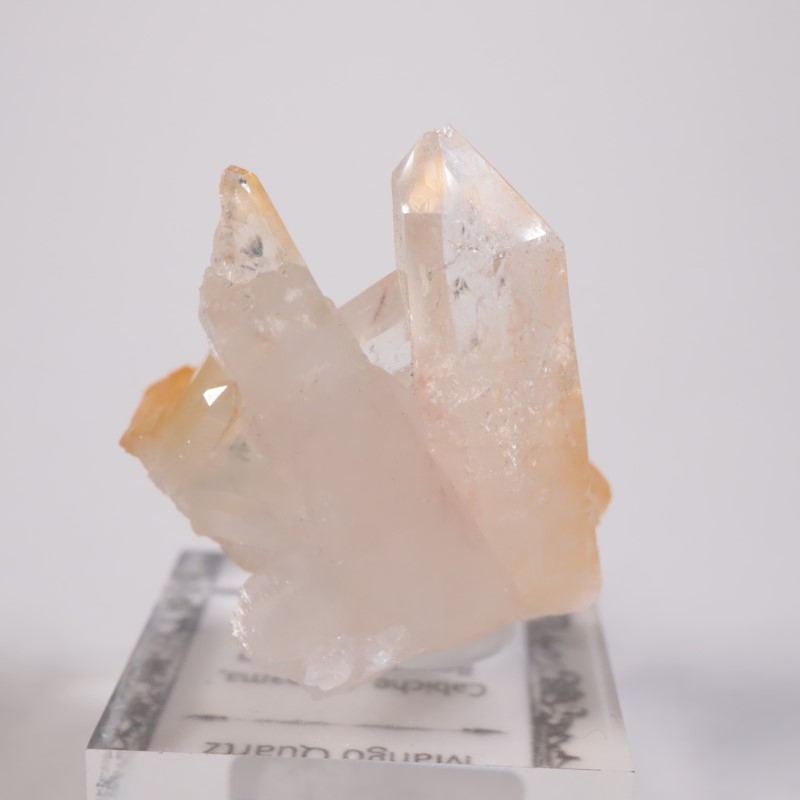 ������ӥ������ޥ󥴡���������