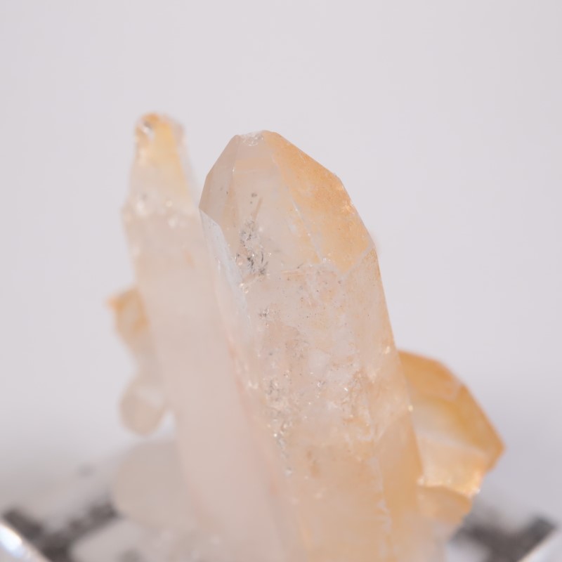 ������ӥ������ޥ󥴡���������