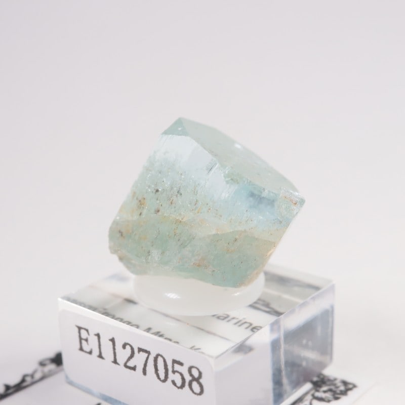 �ʥߥӥ��� �������ޥ��