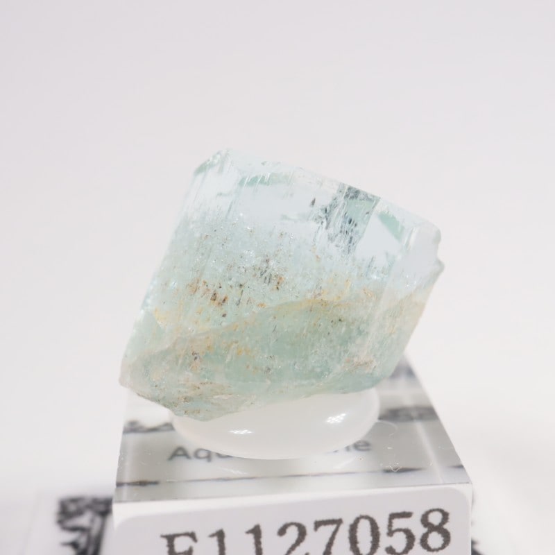 �ʥߥӥ��� �������ޥ��