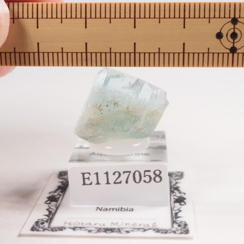 �ʥߥӥ��� �������ޥ��