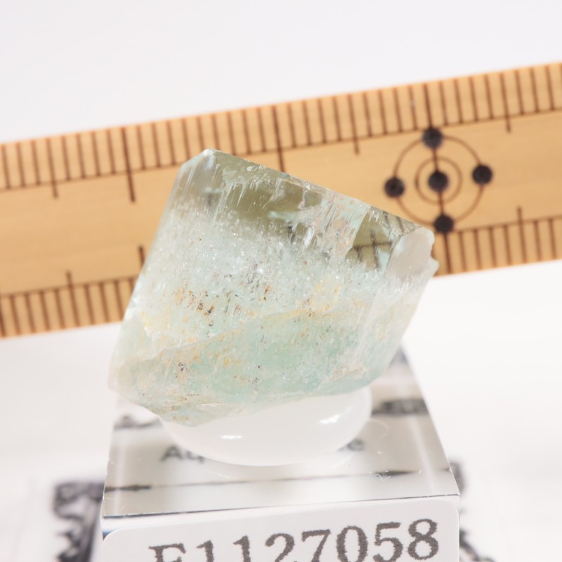 �ʥߥӥ��� �������ޥ��