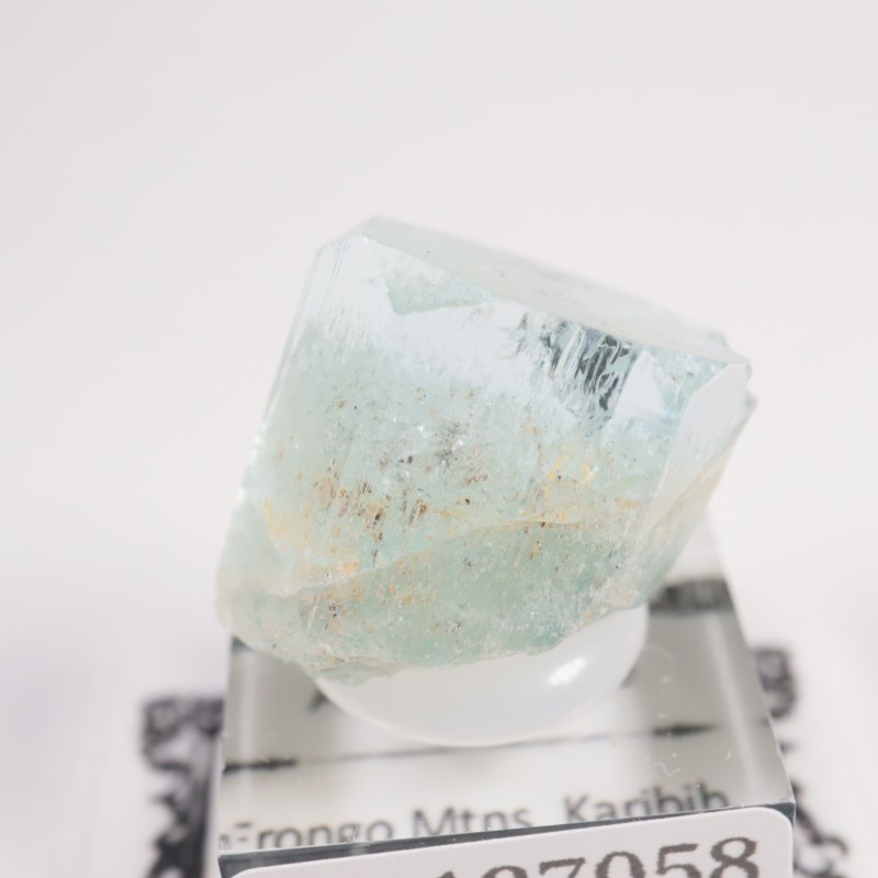 �ʥߥӥ��� �������ޥ��