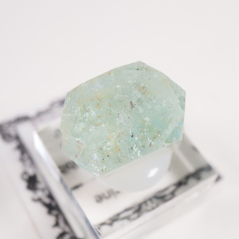 �ʥߥӥ��� �������ޥ��