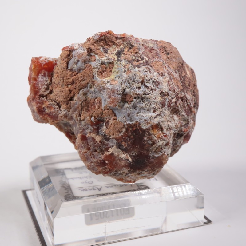 メキシコ産 ラグナアゲート | 鉱物標本,ア行,アゲート/瑪瑙 | ほたるみ