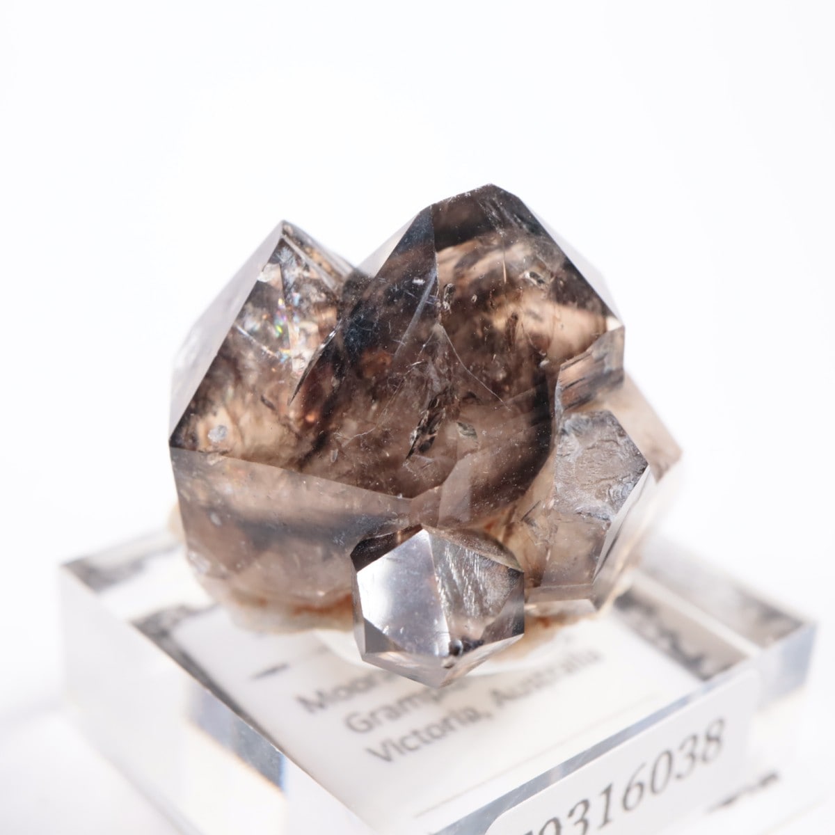 �������ȥ�ꥢ�� ����徽